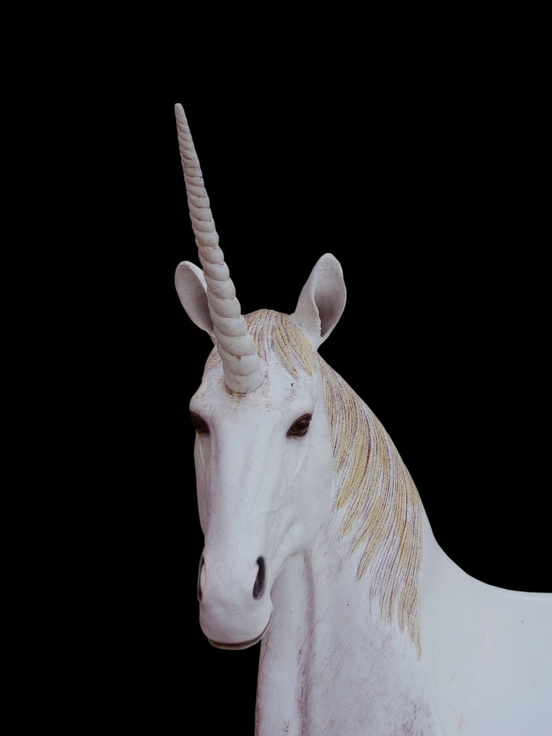Unicorn Dreams